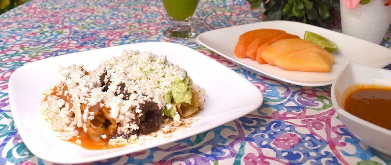 Hotel Anturium Oaxaca Zewnętrze zdjęcie